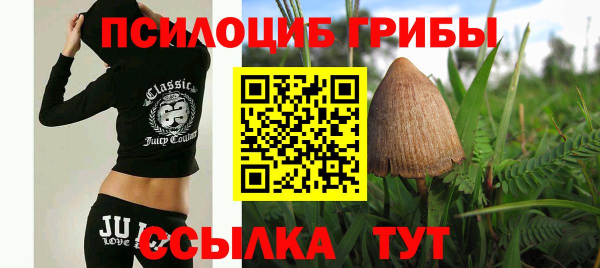 сколько стоит  Галлюциногенные грибы прущие грибы  Туапсе  Вход с VPN  Псилоцибиновые грибы ЛСД 